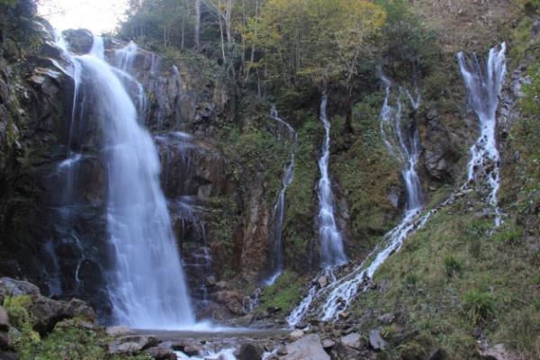 rmcek ormannda sonbahar - Gmhane