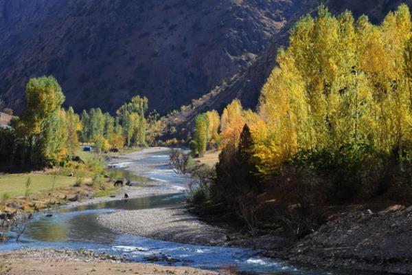 atak'ta sonbahar - Van