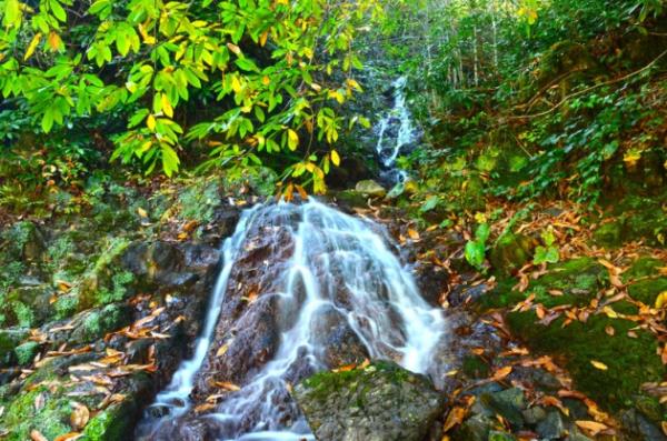 alayan vadisinde sonbahar - Rize