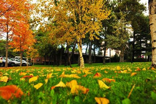 Kk'ten birbirinden gzel sonbahar fotoraflar