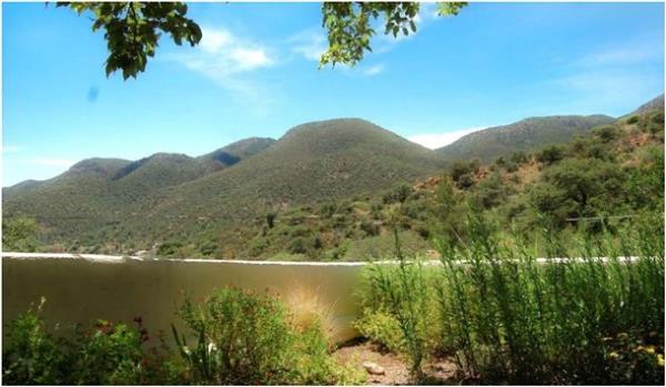 Sosyal medya zerinden paylalan ilgin fotoraflar...