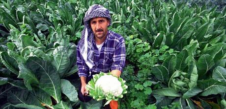 <p> <b>1-Organik tar�m nedir? </b> </p>  'Organik tar�m, t�m canl�lara ve �evreye dost �retim sistemlerini i�eren; yeti�tiricilikte, insana ve �evreye zararl� sentetik kimyasal ila�, hormon ve g�brenin kullan�lmad��� bir tar�m y�ntemi olarak tan�mlan�yor.