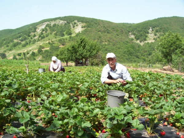 Biz de bu �zel ara�t�rmada 10 soruyu sizler i�in derledik. Kalan 91 soru derginin mart say�s�na �zel haz�rlad��� ekte bulabilirsiniz.