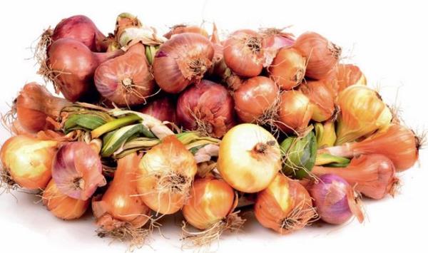 <p> <b>7-Organik tar�mda s�rd�r�lebilirlik nas�l sa�lan�yor?</b></p>   Organik madde ve mikroorganizmalar bak�m�ndan zengin verimli topraklar, bitkiler i�in daha sa�l�kl� ortamla birlikte s�rd�r�lebilir bir �retime de zemin haz�rlar. Toprak sa�l���n�n en �nemli g�stergelerinden biri, topraktaki karbon konsantrasyonudur. Konvansiyonel tar�m yap�lan topraklar karbon kaybederken yanm�� ah�r g�bresi, ye�il g�bre ve ekim n�betinin tercih edildi�i organik tar�m topraklar�nda karbon miktar� y�ksektir.
