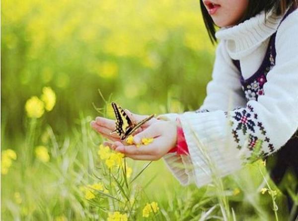 38. Kelebekleri incelemek