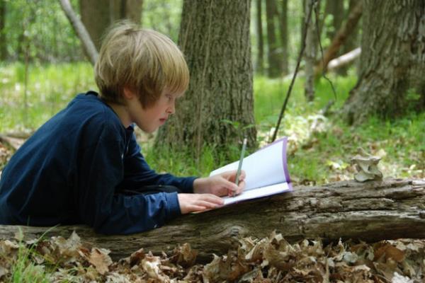 26. Fosil ve kemik aramak