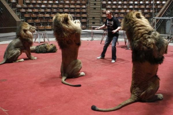 Bazen y�rekleri a�za getiren g�sterilere imza at�yor.