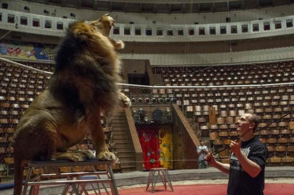 Bu adam g�renleri �a��rt�yor