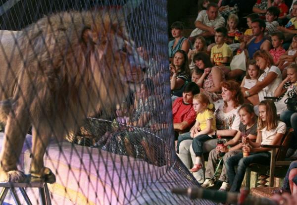 Bu adam g�renleri �a��rt�yor