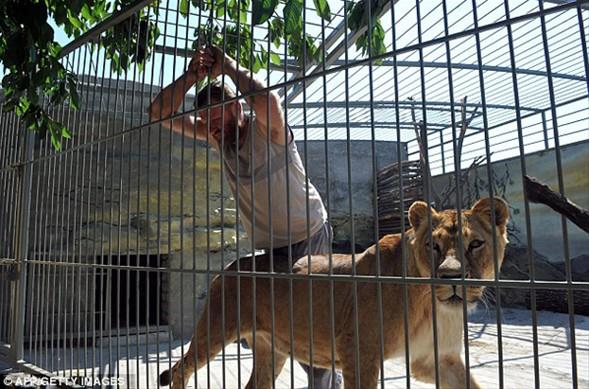 Bu adam g�renleri �a��rt�yor