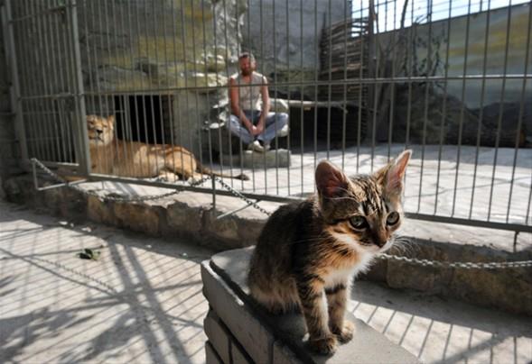 Bu adam g�renleri �a��rt�yor