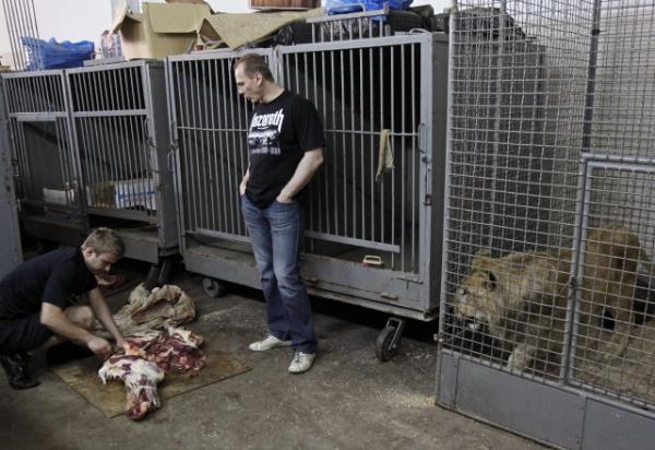 Bu adam g�renleri �a��rt�yor