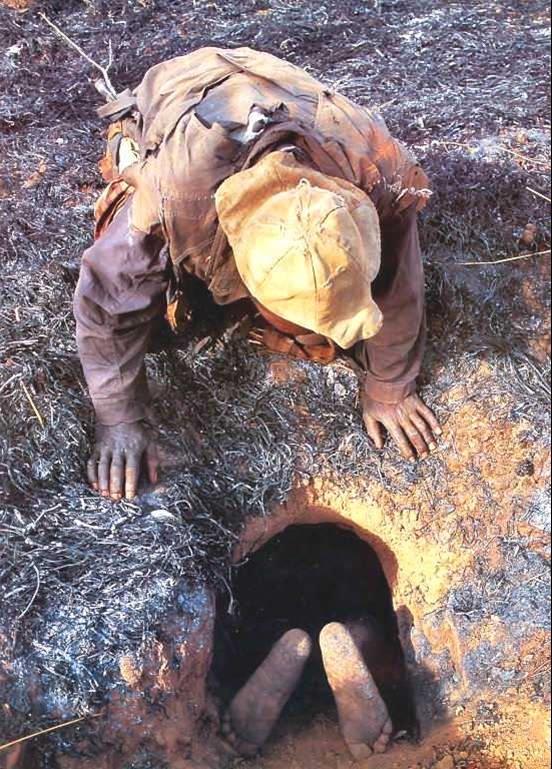 2. Sonra kontroll� bir �ekilde y�lan�n yuvas�na y�z�st� giri� yap�l�r