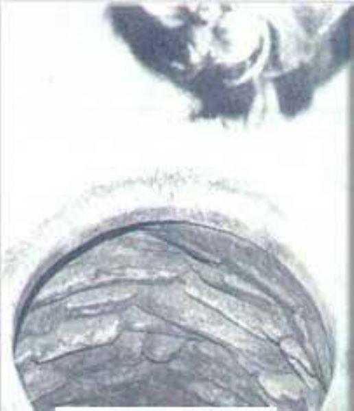 Ayasofya’n�n i�inde b�y�k salonun ortas�nda bir kuyu var.    Eskiden bu kuyu kalp hastal���na tutulanlar�n s�k s�k geldikleri bir yerdi. Bunlar �� cumartesi art arda a� karn�na buraya gelir, sabah namaz�n� k�lar ve bu sudan i�erlerdi.