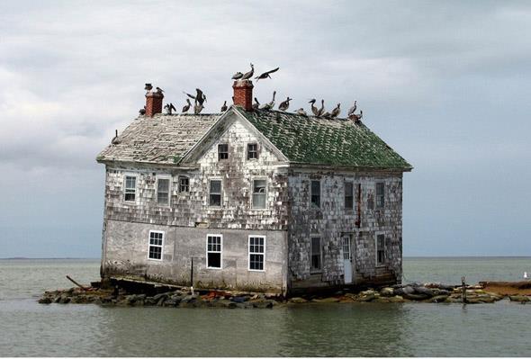 Holland Island ,Chesapeake Liman�
