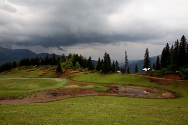 Yaylan�n olmazsa olmazlar� aras�nda yer alan �am ve ladin a�a�lar� bu do�all��a g�zellik kat�yor. Karadeniz'in bilinmeyen g�zde yerlerinden biri olan G�lyan�, do�a ile ba� ba�a kalmak isteyenler i�in de �nemli bir yer konumunda.