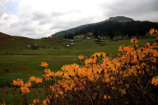 Ye�ilp�nar k�y� s�n�rlar� i�erisinde bin 530 metre y�kseklikte yer alan g�l�n etraf�n� �evreleyen �imenler, sar� ve mor renkteki zifin �i�ekleri ile orman g�lleri, e�ine az rastlan�r bir g�r�nt� olu�turuyor.