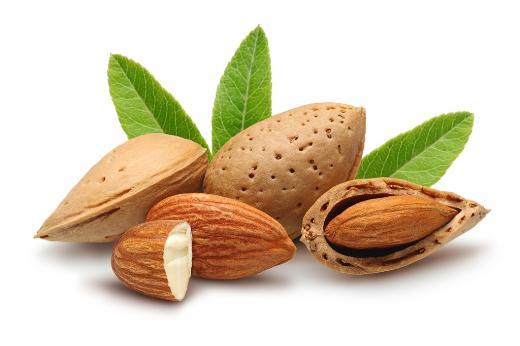 <p><b>CEV�Z, FINDIK, BADEM, �EK�RDEK</b></p>    <p>Ay �ekirde�i, kabak �ekirde�i, kaju f�st���, f�nd�k ve ceviz magnezyum y�n�nden zengin besinlerdir. Magnezyum serotonin hormonunun salg�lanmas�n� art�r�r. Ceviz, f�nd�k ve bademin eneri veren besinler oldu�unu biliriz. Bu at��t�rmal�klar modunuzu art�rarak stresi �nlemektedir. F�nd�k ve cevizin i�eri�inde bulunan E vitamini ve omega-3 ya� asitleri depresyonla m�cadelede etmektedir. �zellikle ceviz bolca tryptophan i�erir. Bu �zelli�inden dolay� da serotonin salg�s�n� art�r�r ve a�l�k hissini bast�r�r. T�ketimlerinde kalorilerinin y�ksek oldu�unu unutmamak gerekir. G�nde 30 gr t�ketilmeleri yeterlidir.</p>