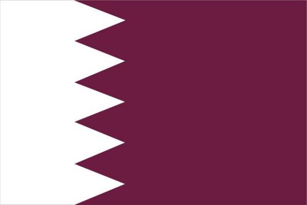 Milyoner yo�unlu�unun en fazla oldu�u �lke ise Katar oldu. Katar'da 1000 haneden 143'�n�n varl��� 1 milyon dolar�n �st�nde.