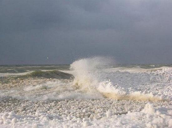 Leda Olmsted, k�pe�iyle y�r�y��e ��kt��� Michigan G�l� etraf�nda dev buz toplar�yla kar��la�t�.