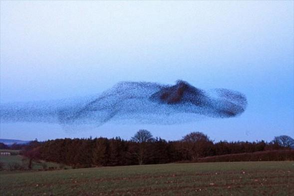 <b> Kara G�ne� </b>