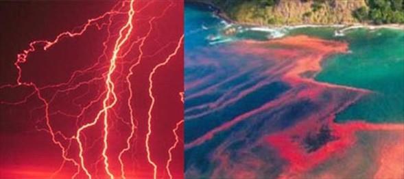 <b>KIZIL YA�MURLAR:</b>   <p>2001 y�l�nda, 25 Temmuz'dan, 23 Eyl�l'e kadar Hindistan'�n Kerala b�lgesine ya�an her ya�mur k�z�l renkte oldu. B�lge halk�n�n geleneksel olarak giydi�i beyaz renkteki elbiselerde ise ya�mur kan k�rm�z�s�na yak�n bir k�rm�z�ya d�n��t�. Hindistan H�k�meti olaya el koyu ve 'k�z�l ya�murun' nedeni ara�t�r�ld�.</p>