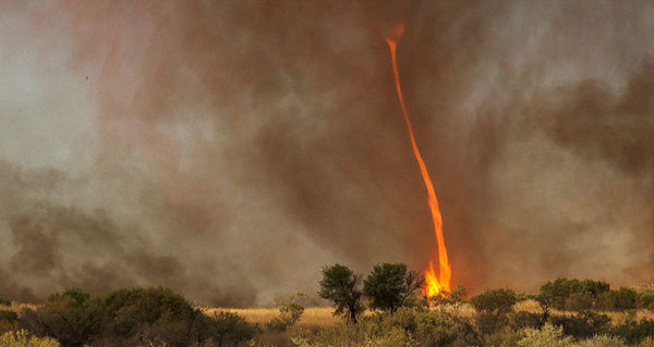 Alevler 30 metreye kadar y�kselirken, sadece belli ko�ullar�n bir araya gelmesiyle olu�an alev hortumu b�yle g�r�nt�lendi.