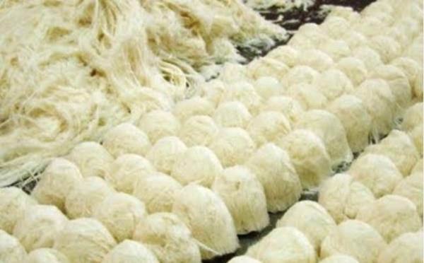 41 KOCAEL ( ZMT )  Pimaniye, Deirmendere Fnd, Hannibaln Mezar, Petrokimya ve Otomotiv Sanayi, Osman Hamdi Bey Mzesi, Eski Hisar Kalesi, Saat Kulesi, Hereke Hals, Kandra Yourdu, Abdlazizin Av Kk, Kaiser Wilhelm Kk,   Ballkayalar Vadisi ve Bekayalar Tabiat Parklar, Darca Ku Cenneti, Maukiye, Kartepe ve Kuzu Yaylas, oban Mustafa Paa Klliyesi, Yarmca Kiraz