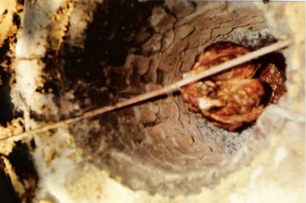 66 YOZGAT  Saat Kulesi, Yozgat aml Ulusal Park, Kerkenez Harabeleri (Keykavus Kalesi), Akda Ormanlar, Araba,Testi ve Tandr Kebab, Madmak, eka Kalesi, Trkiye'nin lk Dnyann 3. Milli Park amlk