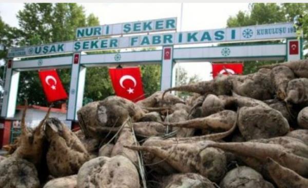 64 UAK  Deri, Kilim ve Battaniye Sanayii, eker Fabrikas ( Trkiyedeki lk eker Fabrikas ), Akse aml, Hamam Boaz ifal Sular