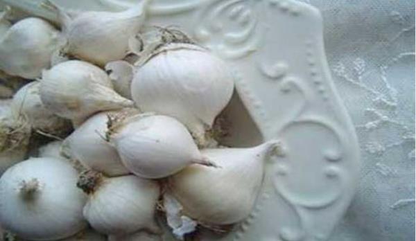 62 TUNCEL  Munzur Vadisi Milli Park, Dzgn Baba Da, Ban Ilcas, Munzur Gzeleri, Tek dili Munzur Sarmsa