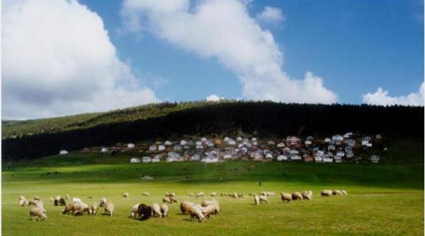 52 ORDU  Trkiyenin Fndk ve Bal Deposu, Boz Tepe, amlk Mesire Yeri, Yason Burnu ve Kilisesi, Keyfalan Yaylas