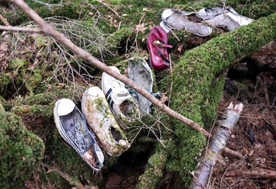 �ntiharla hayat�na son verenler aras�nda da pop�ler oldu�u biliniyor. Bu kasvetli belki de talihsiz orman�n sicili baya�� kabar�k. 2002 y�l�nda i�te bu ormanda tam 78 ceset bulundu; 1998 y�l�nda ise bu say� 73't�. 2006 y�l�nda ise 16 ceset bulundu.  Cesetlerin baz�lar�, yanlar�nda Tsurumui'nin intihar �zerine olan o "me�hur" kitab�n� da ta��yordu.