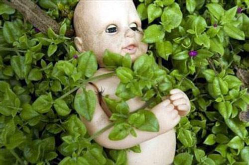 Bug�n Bebekler Adas�, d�nyan�n en ilgin� turist merkezlerinden biri olarak g�r�l�yor. B�lgeyi ziyaret eden baz� turistler bebeklerin f�s�lda�t���n� ve onlar�n ruhlar�n� doyurmak i�in adaya ayak bas�ld���nda hediyeler verilmesi gerekti�ini s�yl�yor.