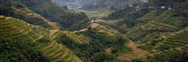 Banaue Pirin Teraslar / Filipinler