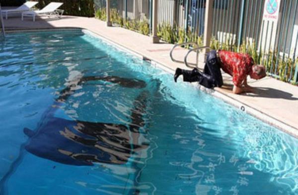 Bu kazalar milyonda bir olur. ��te o kazalar...