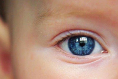 G�z�n rengi irisin arkas�nda bulunan par�ac�klar ve irisin ana dokusundan geliyor. Ana dokudaki melonin / pigment genellikle do�duklar�nda geli�memi�tir ve bebekler mavi g�zl� do�ar. 6 ay ile 12 ay olduklar�nda melonin bebe�inizin geneti�ine uygun olarak (mavi, kahverengi, ela, vb) as�l rengini al�r.