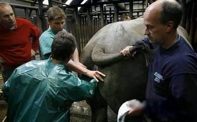 <b>Fil bak�c�s�</b>