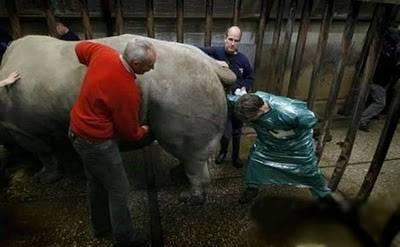 <b>Fil bak�c�s�</b>