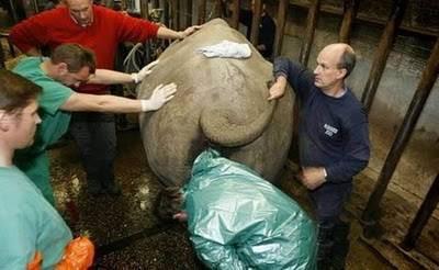 <b>Fil bak�c�s�</b>