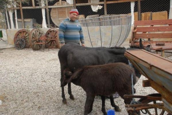 ZARUR HALLERDE LEBLR