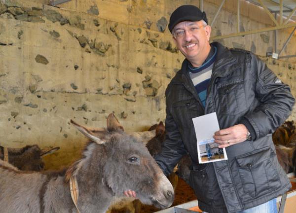 Evcil eeklerin etinin yenilmesinin Hz. Muhammed tarafndan haram olduunun bildirildiini kaydeden Prof. Dr. Trcan, "Fkhta bir kural vardr, hayvanlarn stleri, etlerine tabidir. Etlerinin hkm ne ise stlerinin hkm de odur.