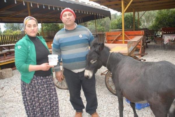 "Bir doktor hastasna ?Sen mutlaka eek st imelisin, hastaln ancak ona baldr? derse eek st iebilir. Eek stnn alternatifleri varsa, ilala tedavisi varsa iilmesi caiz olmaz. Ben, eek stn de zaruret olarak grmyorum. Ancak tedavi bakmndan kullanlmas zorunlu ise o zaman eek st iilebilir. Aksi halde haramdr."