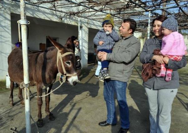 Eek paraziti var m yok mu bilinmeli. Yeni doan bebekler iin fizyolojik ve besinsel gereksinimlerine uygun dengeli amino asit dalm ile ideal bir protein kayna. Ya oran dk olduu iin gereksiz kilo almn engeller.