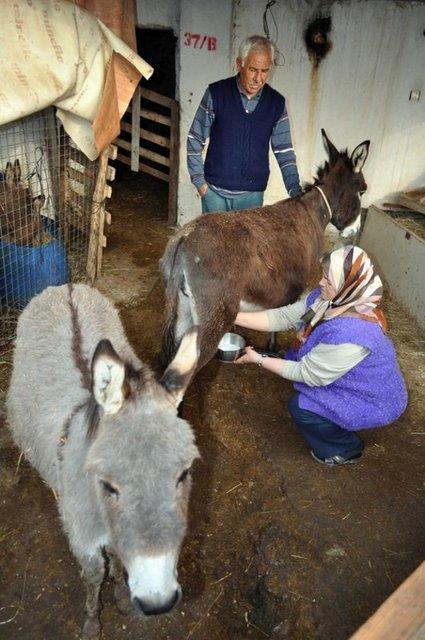 eitli uzmanlarca diyetlerde kullanlmas tavsiye edilmektedir. Vitamin asndan da eek st A, B2, C, E vitamin ierir."