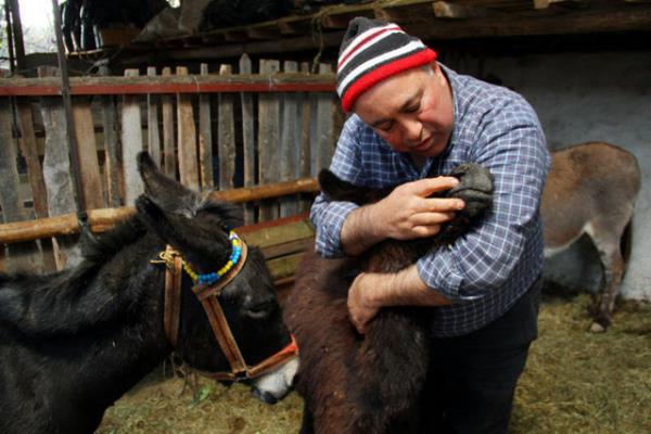 "Kei stnn anne stne yaknl biliniyor. nk bu da ok eskilerde antik ada kullanlm. Baklk sistemini glendirdiine dair gnmze kadar gelen bilgiler var.