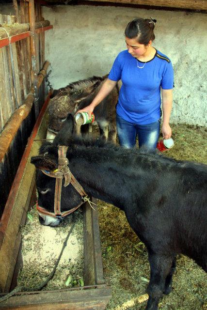 Fakat eek style ilgili st dzey bir alma yok. Yaplm ciddi bir aratrma yok. Bunu yapanlarn ou yurt dndan kulaktan dolma bilgilerle bu ii gerekletiriyor.