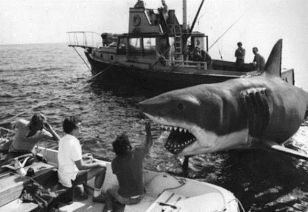 Jaws