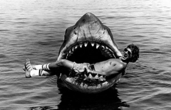 Jaws