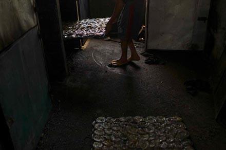 Moda u�runa can veren hayvanlar